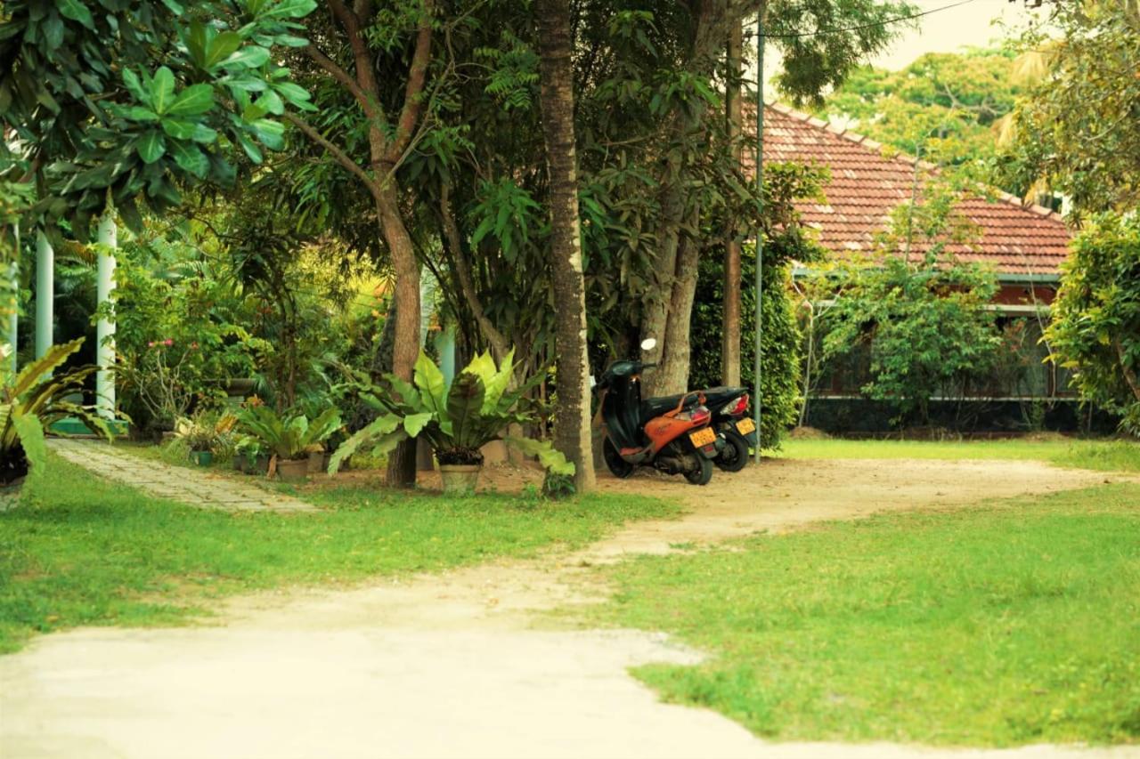 Panora Garden Mirissa Exterior foto